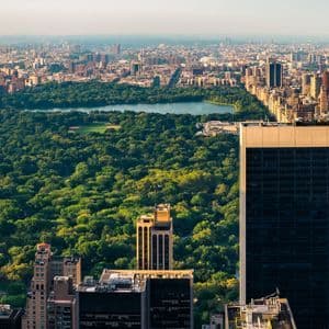 Una vista aerea di un grande parco verde rettangolare con un lago, situato in un denso paesaggio urbano di grattacieli.