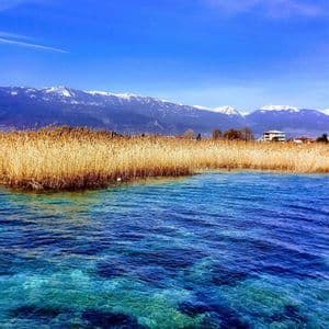 Acqua cristallina turchese in un lago con canne dorate lungo la riva e montagne innevate sotto un cielo azzurro brillante.