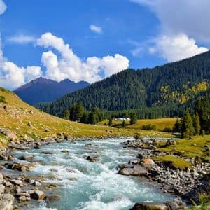 Un torrent impétueux traverse une vallée verdoyante, bordée de forêts de pins et de montagnes lointaines, sous un ciel bleu nuageux.