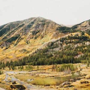 Une pente de montagne couverte de pins verts et de feuillage d'automne jaune, avec une rivière et un chemin de terre serpentant dans la vallée en contrebas.