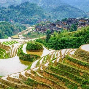 Vue panoramique de rizières en terrasses verdoyantes et inondées, avec un village niché sur un flanc de montagne lointain.