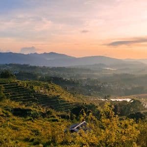 Ein Panoramablick auf grüne Terrassenhügel und nebelverhangene Berge während eines farbenprächtigen Sonnenaufgangs oder Sonnenuntergangs