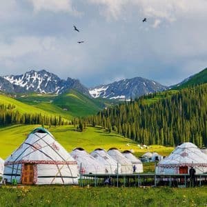 Una vista panoramica di un campo di yurte in una valle verde, con pinete sulle colline e montagne innevate in lontananza.