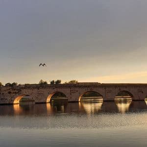 Un ponte in pietra a più arcate che attraversa un fiume calmo al tramonto, con il suo riflesso visibile nell'acqua e un uccello che vola sopra.
