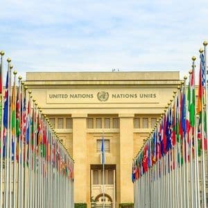 Una fila di bandiere internazionali sui pennoni costeggia il viale che porta all'ingresso del Palazzo delle Nazioni Unite.