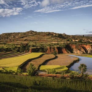 A winding river flows through green and brown terraced rice paddies in a hilly landscape under a partly cloudy sky.