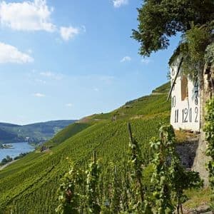 Un edificio con un grande orologio si erge su un ripido vigneto a terrazze, affacciato su un fiume in una giornata di sole.