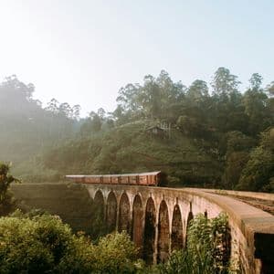 Un treno rosso attraversa un ponte di pietra a più arcate, circondato da una foresta lussureggiante, verde e nebbiosa.