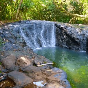 Una cascata si riversa su un'ampia formazione rocciosa in una pozza limpida in una giungla lussureggiante