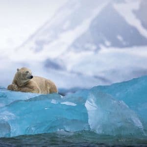 Un orso polare riposa su un grande iceberg blu che galleggia nell'acqua, con una montagna innevata sullo sfondo.