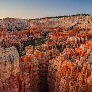 Un profondo canyon, ricco di formazioni rocciose hoodoo arancioni e alberi verdi, sotto un cielo limpido all'alba.