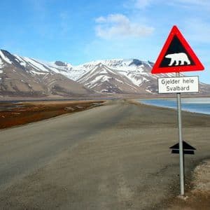 Un cartello di avviso per orsi polari si erge su una strada sterrata alle Svalbard, con montagne innevate e uno specchio d'acqua ghiacciato sullo sfondo.