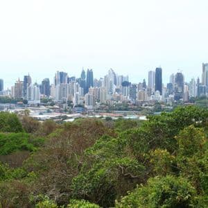 Une vue panoramique d'une ligne d'horizon urbaine moderne avec de nombreux gratte-ciel s'élevant derrière une forêt dense et verte.