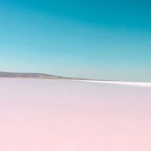 Un vasto lago salato rosa si estende verso le colline lontane sotto un cielo azzurro chiaro e vibrante.
