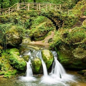 Un ponte di pietra muschioso con una ringhiera di legno si inarca su un piccolo ruscello con cascate in una foresta lussureggiante e verde.