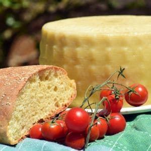 Una forma di formaggio, una pagnotta di pane al sesamo e pomodorini ciliegino su tralcio sono adagiati su una tovaglia a quadri verde all'aperto.