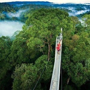 Vista aérea de un grupo de WeRoad en un viaje caminando por un largo puente colgante sobre una selva brumosa.