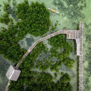 Vista aérea cenital de una pasarela de madera serpenteando a través de un bosque de manglares en aguas claras y poco profundas, con una canoa amarilla cerca.