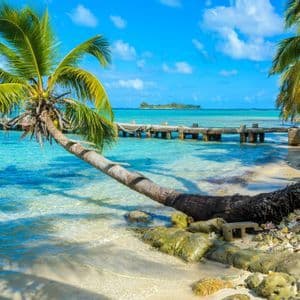 Un palmier penche sur une eau turquoise et limpide sur une plage de sable, avec un ponton en bois et une petite île en arrière-plan.