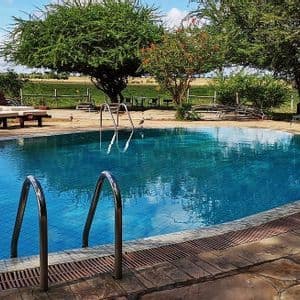 Una piscina exterior con tumbonas con vistas a una sabana donde una manada de elefantes pasta en la distancia.