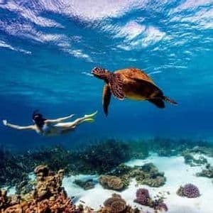 Una mujer con esnórquel y aletas nada junto a una tortuga marina en aguas cristalinas sobre un arrecife de coral.