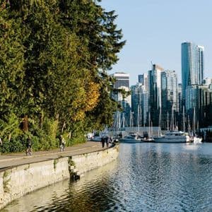 Une promenade le long de l'eau où l'on peut faire du vélo et marcher, bordée d'arbres et d'une marina avec vue sur la ville.