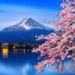 Fiori di ciliegio rosa incorniciano la vista di una montagna innevata al di là di un lago, con una città illuminata sulla riva al crepuscolo.