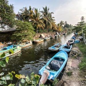 De petits bateaux sont amarrés en longue file le long d'un étroit canal bordé de palmiers et d'une végétation luxuriante.