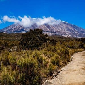 Un chemin de terre serpente à travers une brousse herbeuse vers une grande montagne coiffée de nuages sous un ciel bleu clair.