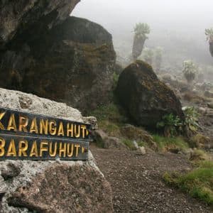 Un panneau pour les refuges Karanga et Barafu indique un sentier de montagne rocailleux et brumeux, parsemé de plantes d'altitude uniques.
