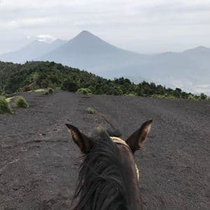 Vue subjective à cheval sur un paysage volcanique de sable noir, vers des montagnes lointaines et brumeuses.