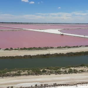 Une vue aérienne de vastes salines roses sectionnées par des chemins blancs, avec un canal vert au premier plan sous un ciel bleu.