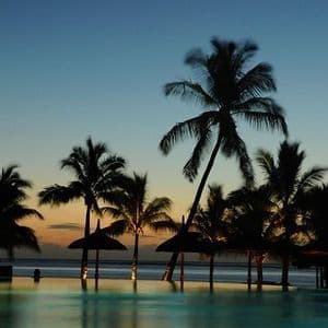 Silhouettierte Palmen und Strohschirme an einem Infinity-Pool bei Sonnenuntergang, mit dem Ozean im Hintergrund.
