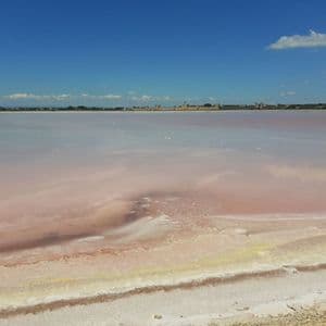 Un vaste lac salé rose avec une rive incrustée de sel sous un ciel bleu, avec une ville visible à l'horizon lointain.