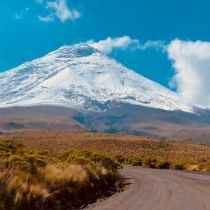 Un camino de tierra sinuoso atraviesa un paisaje seco y cubierto de hierba hacia una enorme montaña nevada bajo un cielo azul.
