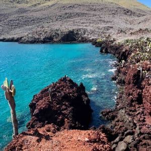 Una bahía turquesa bordeada por una costa de roca volcánica roja con cactus y una gran colina árida bajo un cielo azul.