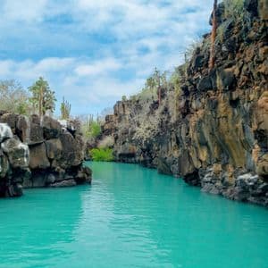 Un estrecho canal de agua turquesa atraviesa altos acantilados de roca volcánica oscura, coronados con cactus bajo un cielo azul.
