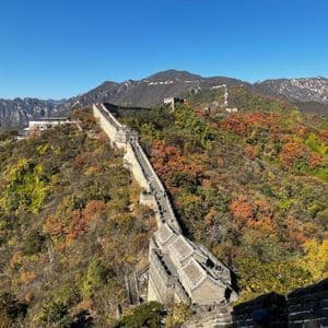 La Grande Muraglia Cinese si snoda tra montagne coperte da un foliage autunnale colorato sotto un cielo azzurro brillante.