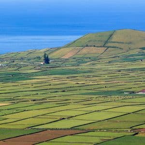 Un vaste paysage côtier de champs verts en patchwork séparés par des murs de pierre, avec une grande colline et la mer bleue en arrière-plan.