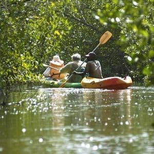 Un voyage de groupe WeRoad pagaye en kayak sur une rivière calme, naviguant à travers une forêt dense de mangroves.