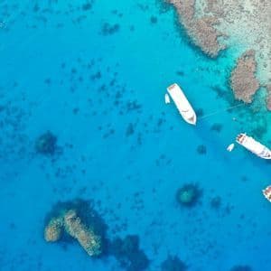Una vista aérea de tres botes blancos anclados en agua turquesa junto a un arrecife de coral, con personas nadando cerca.