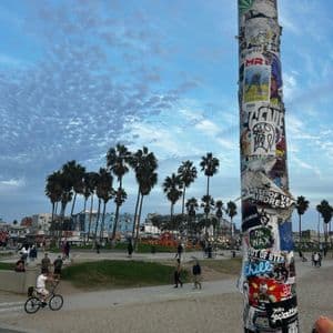 Un poste cubierto de pegatinas se alza en una playa, con gente caminando y palmeras bajo un cielo nublado al fondo.