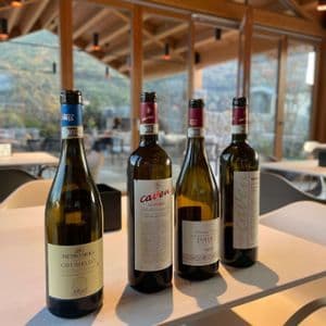 Quattro bottiglie di vino sono disposte su un tavolo bianco per una degustazione, in una sala moderna con ampie finestre che si affacciano su una collina.