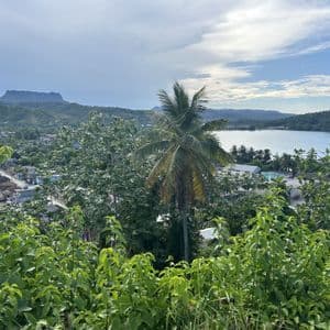 Vista panorámica desde arriba de un pueblo costero con palmera central, gran cuerpo de agua y montañas verdes distantes.