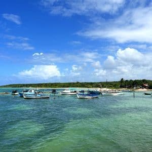 Varios pequeños botes están amarrados en agua turquesa cerca de una orilla arenosa y arbolada bajo un cielo azul con nubes blancas.