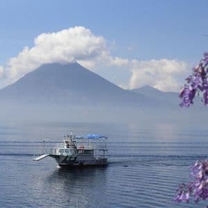 Un battello turistico bianco naviga su un lago con una grande montagna sullo sfondo, incorniciato da fiori viola.