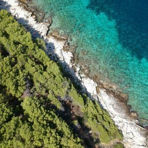Vista aérea de una costa rocosa bordeada por un bosque verde, con gente nadando en el mar turquesa cristalino.