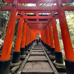 Un viaggio di gruppo WeRoad che sale una scalinata di pietra sotto un lungo tunnel di portali torii rosso-arancio in una foresta.