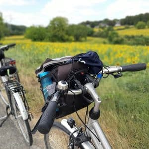 Gros plan sur un guidon de vélo surplombant un chemin et un champ flou de tournesols jaunes.