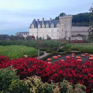 Un jardin à la française avec des fleurs rouges et des citrouilles au sol devant un grand château en pierre sous un ciel couvert.